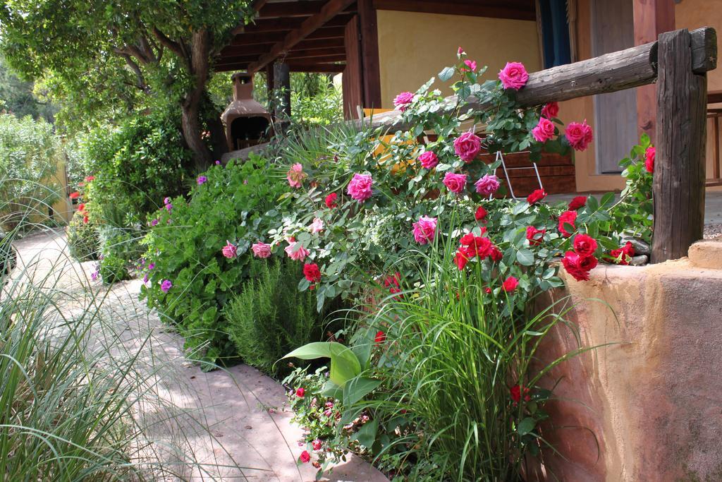 Les Bungalows De Figha Tarcu Exterior foto